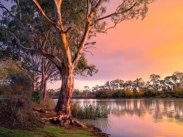 A lake at sunset.